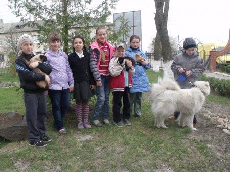 Виставка домашніх улюбленців