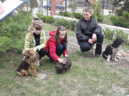 Виставка домашніх улюбленців