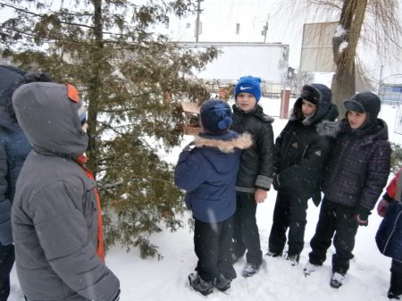 Загальношкільна акція "Годівничка"