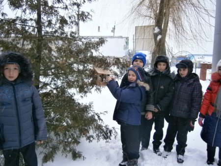 Загальношкільна акція "Годівничка"