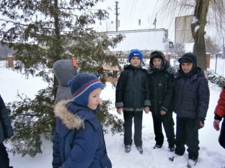 Загальношкільна акція "Годівничка"