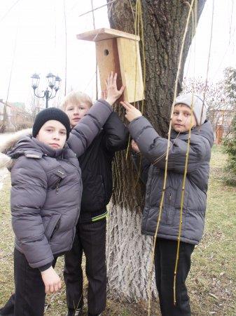 Зустріч перелітніх птахів