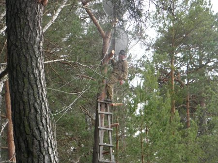Новини з навчально-оздоровчої бази Воронки