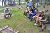 Військово-польові збори