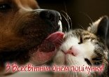 6 липня -  Всесвітній день поцілунку