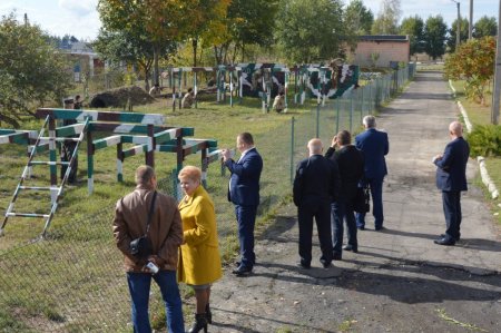 Обмін досвідом