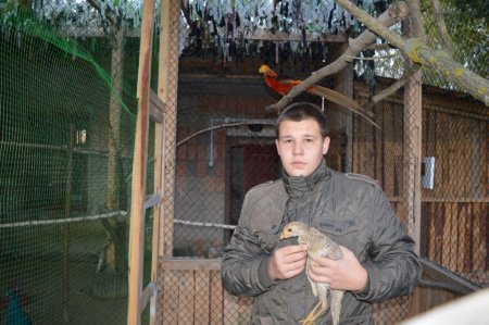 Поповнення мінізоопарку