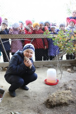 Нові мешканці "Пташиного царства"