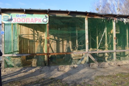 Поповнення міні-зоопарку