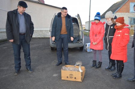 Поповнення міні-зоопарку