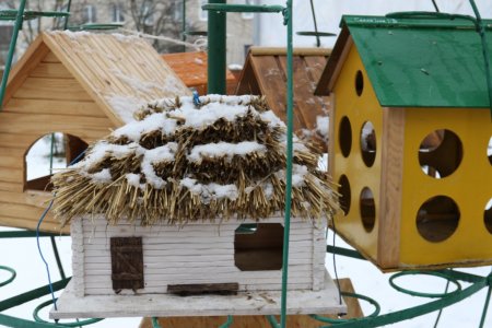 НОВОРІЧНІ СВЯТА ДЛЯ УЧНІВ СЕРЕДНЬОЇ ШКОЛИ