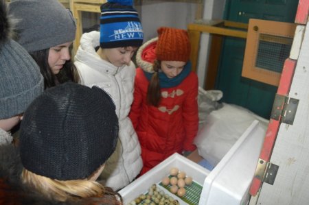 Заняття гуртка «Юний орнітолог»