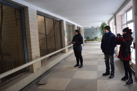 Налагодження співпраці із Київським зоопарком
