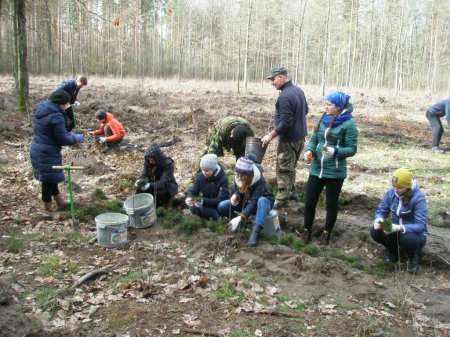 майбутнє лісу у твоїх руках