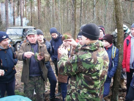 майбутнє лісу у твоїх руках