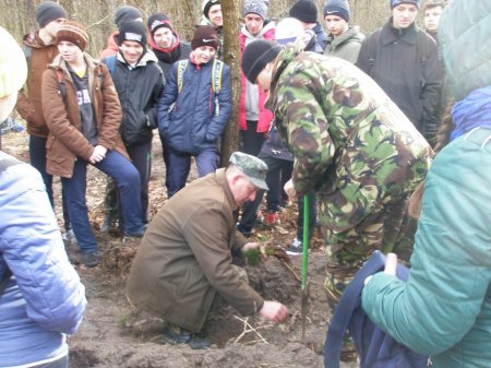 майбутнє лісу у твоїх руках
