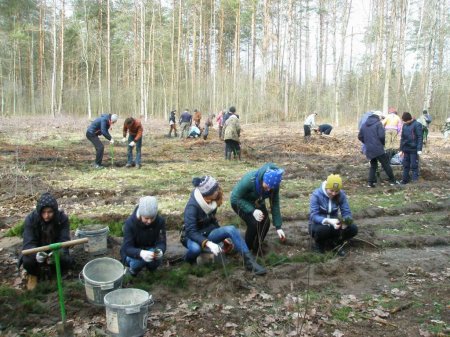 майбутнє лісу у твоїх руках