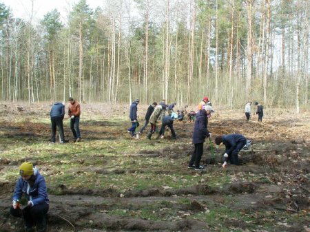 майбутнє лісу у твоїх руках