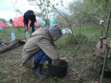 Пластуни на окружному Святі Весни