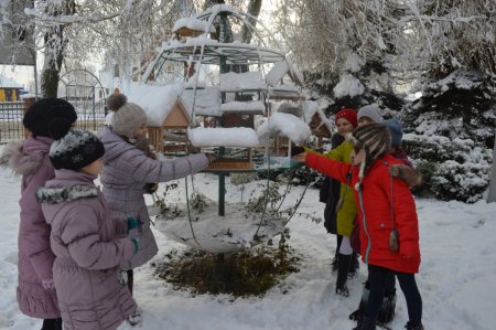 Всеукраїнська акція «Годівничка»