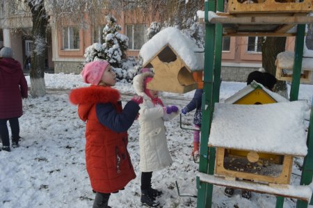 Всеукраїнська акція «Годівничка»
