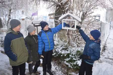 Всеукраїнська акція «Годівничка»