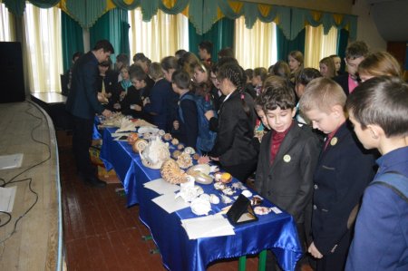 Виставка мінералів