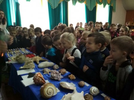 Виставка мінералів