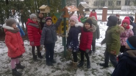 Допомога птахам