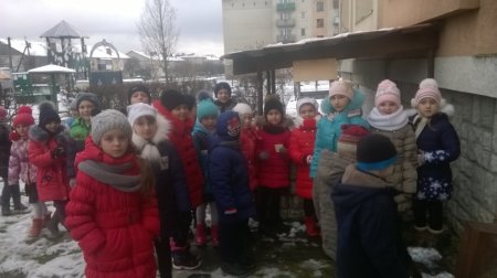 Допомога птахам
