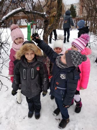 Турбуємося про пернатих друзів