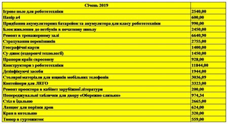 Звіт благодійного фонду "Діти полісся" за січень 2019 року