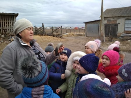 Компетентнісне навчання за концепцією НУШ