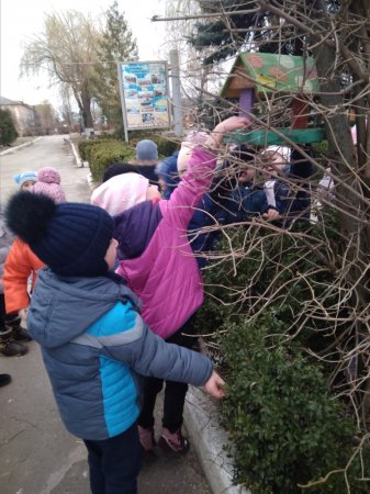 Заняття  «Гуманне та відповідальне ставлення до тварин»