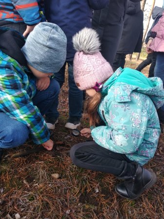 #HealthySchools Екскурсія на кінну спортивну базу