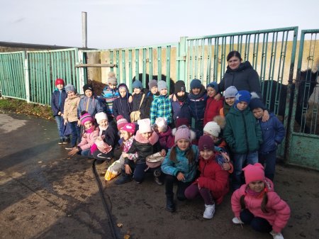 #HelsthySchools Екскурсія до кінної спортивної бази
