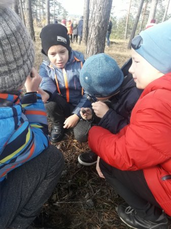 #HelsthySchools Екскурсія до кінної спортивної бази