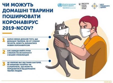 Чи можуть тварини переносити коронавірус