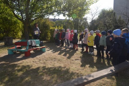 Open-air уроки  