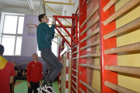 «Сокіл» («Джура»)