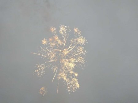 ВІДКРИТТЯ НОВОРІЧНОЇ ЯЛИНКИ