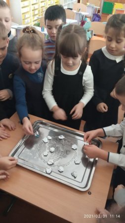 STEM-зима