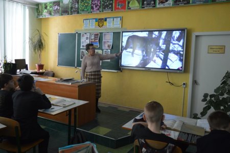 STEM-ЗИМА