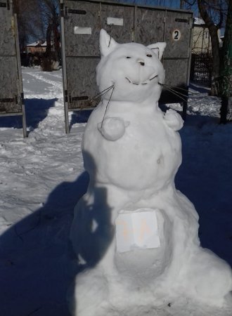 Фестиваль Снігу