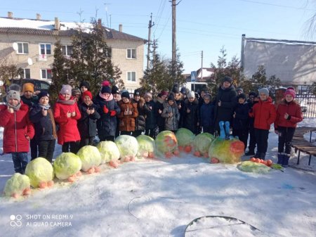 Фестиваль снігу