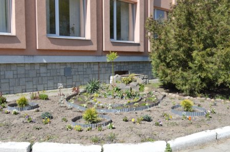 Акція «Подаруй колегіуму квітку»