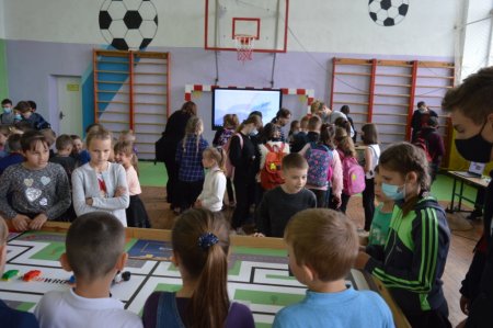 STEM-ПІКНІК