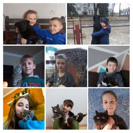 Тварини, які рятують нас від війни