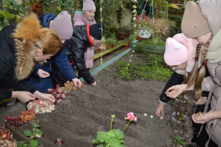Реалізація проєкту “Flowers4school”