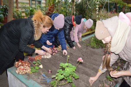 Реалізація проєкту “Flowers4school”